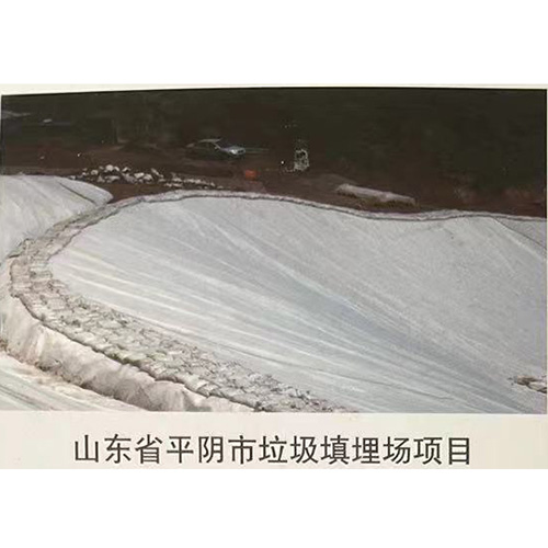 山東省平陰市垃圾填埋場項(xiàng)目
